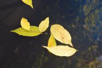 DSC_0029-min