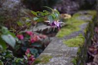 DSC_0082-min