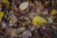 DSC_0020-min